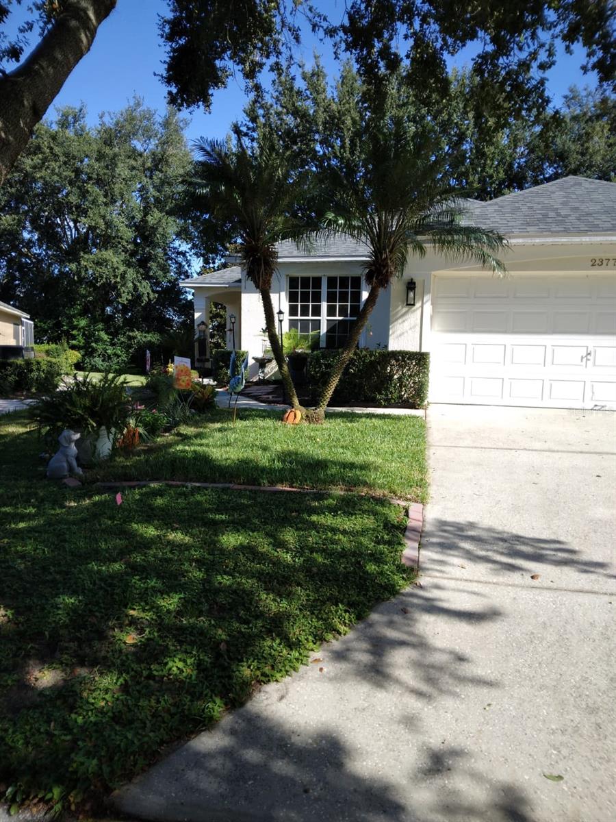 Image 8 of 21 For 2377 Paulette Drive