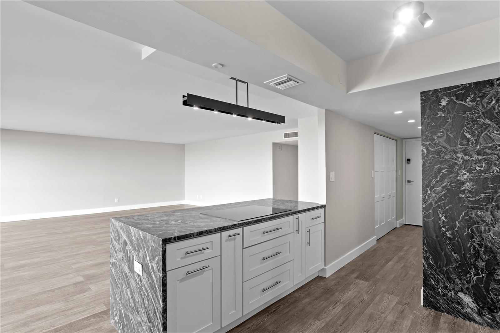 Image 17 of 46 For 3301 Bayshore Boulevard 806c