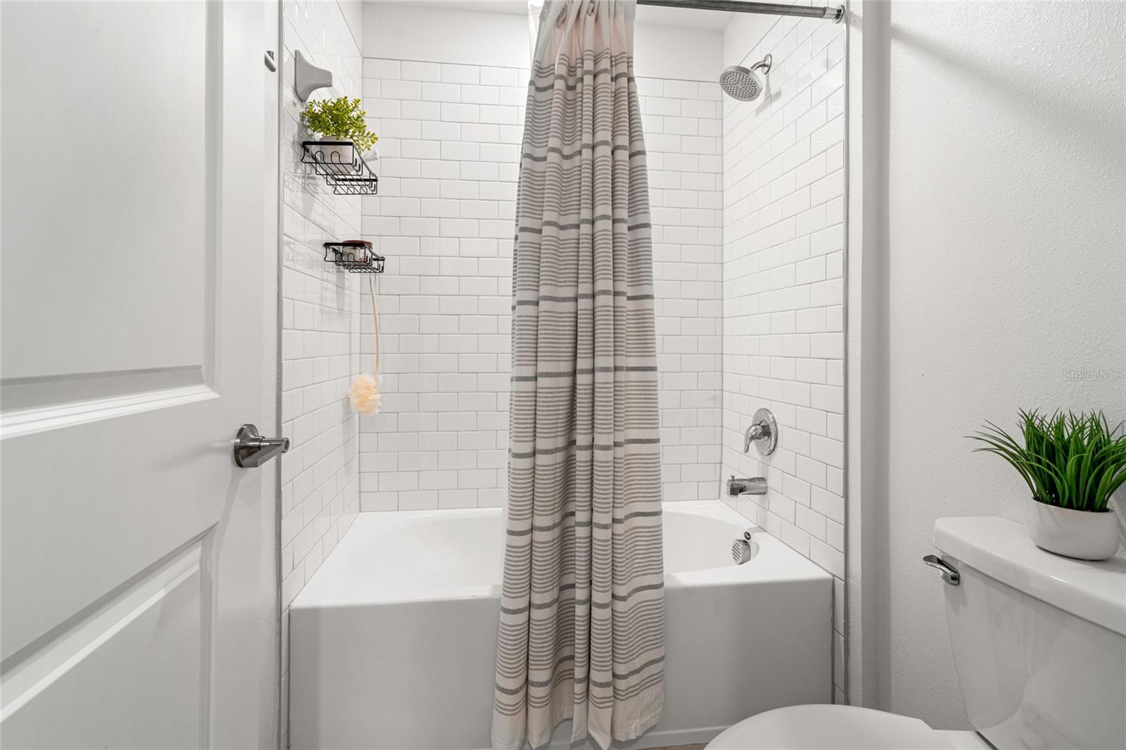 Image 31 of 51 For 22083 Blazing Star Run