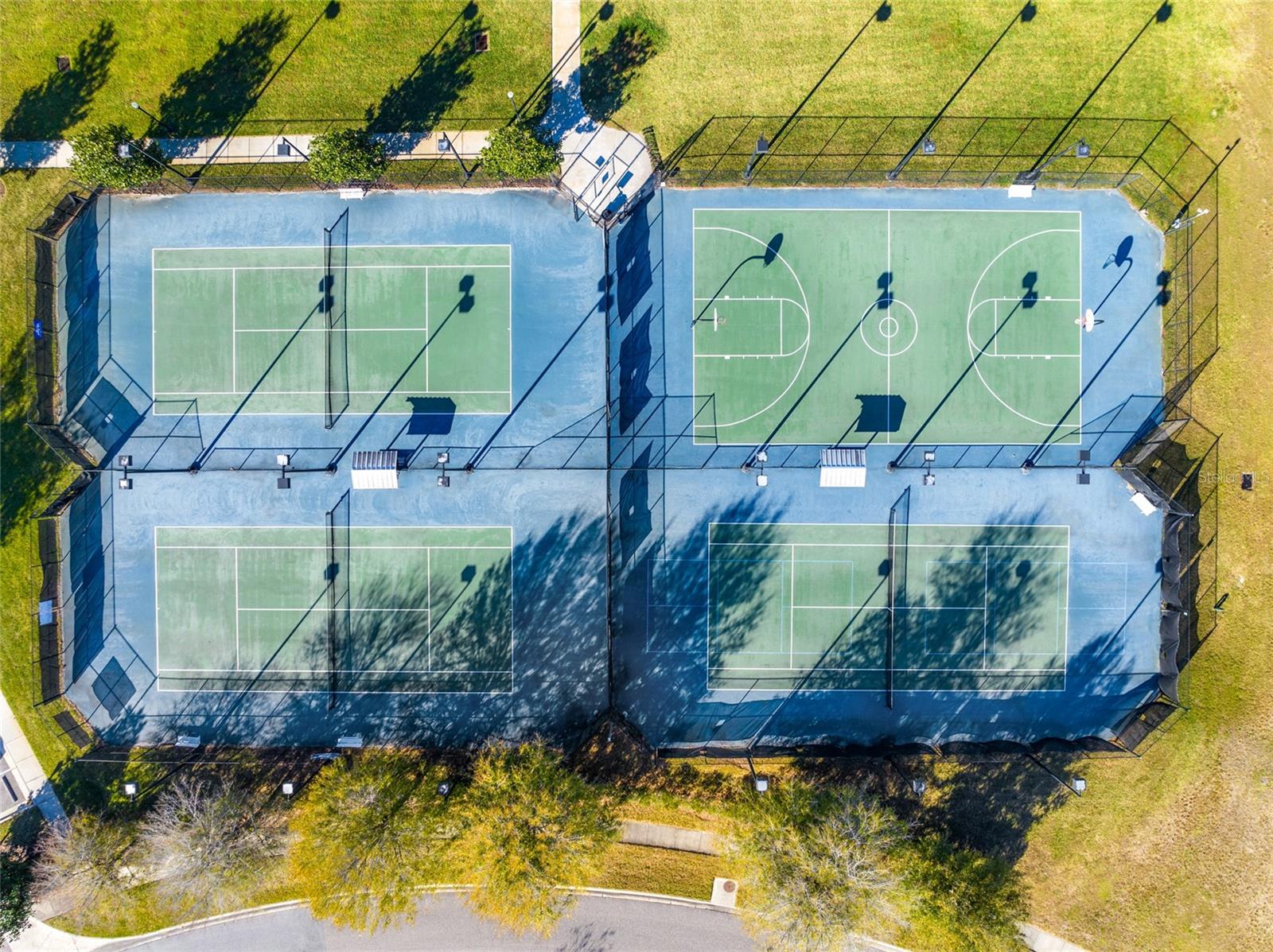 Image 51 of 51 For 22083 Blazing Star Run