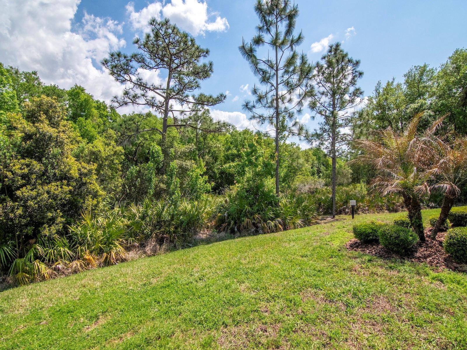 Image 41 of 61 For 20003 Umbria Hill Drive