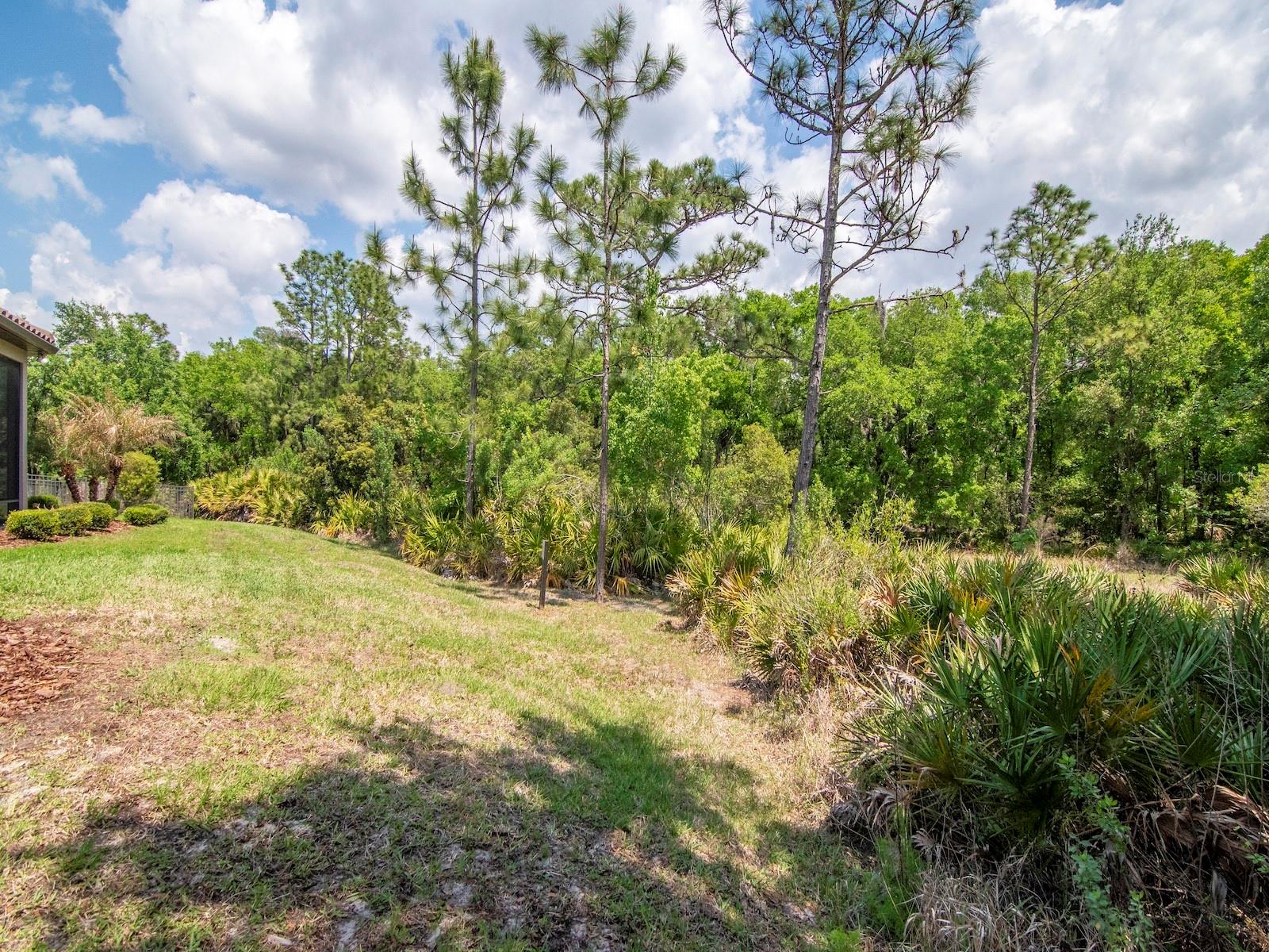 Image 45 of 61 For 20003 Umbria Hill Drive