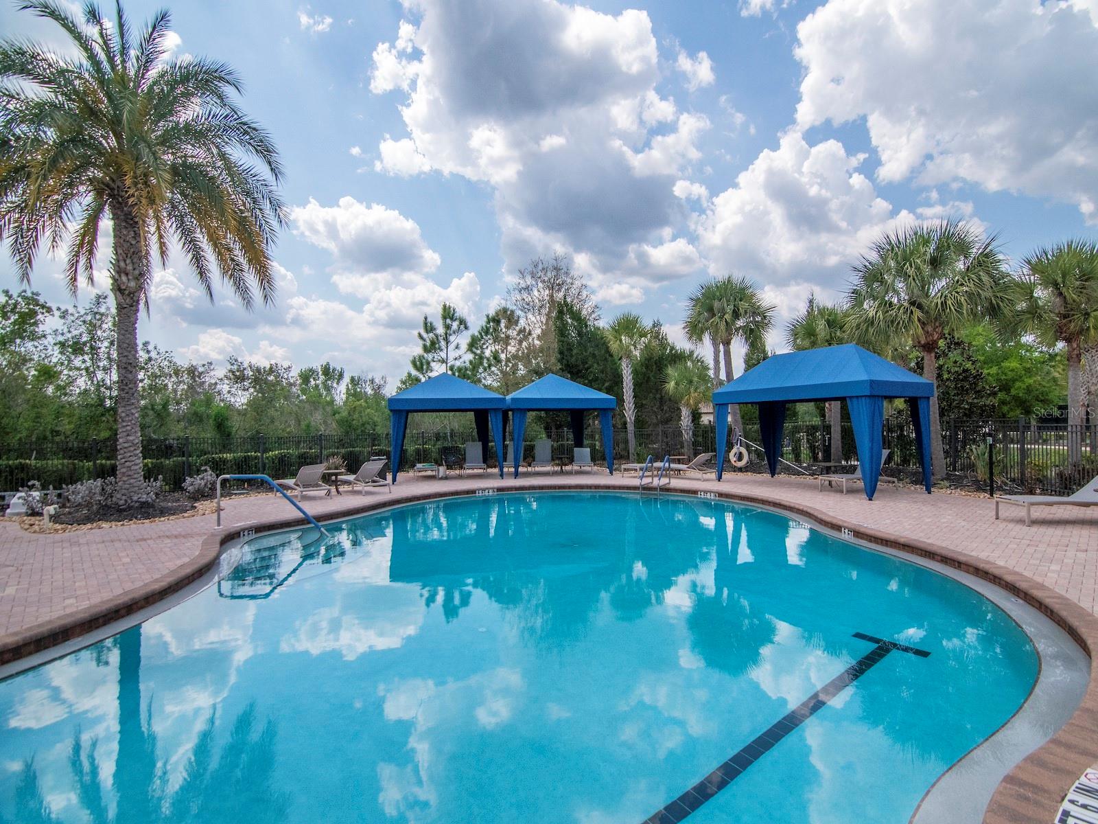 Image 56 of 61 For 20003 Umbria Hill Drive