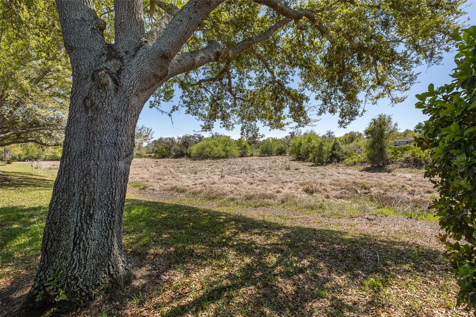 Image 39 of 41 For 11142 Port Douglas Drive