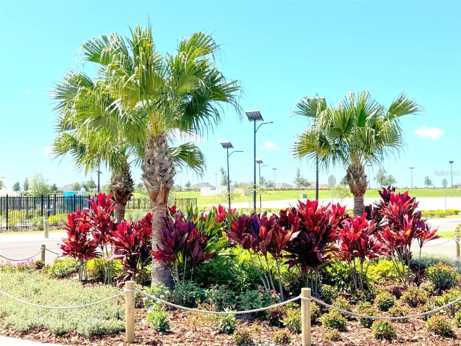 Image 18 of 22 For 10171 Trumpet Honeysuckle Way