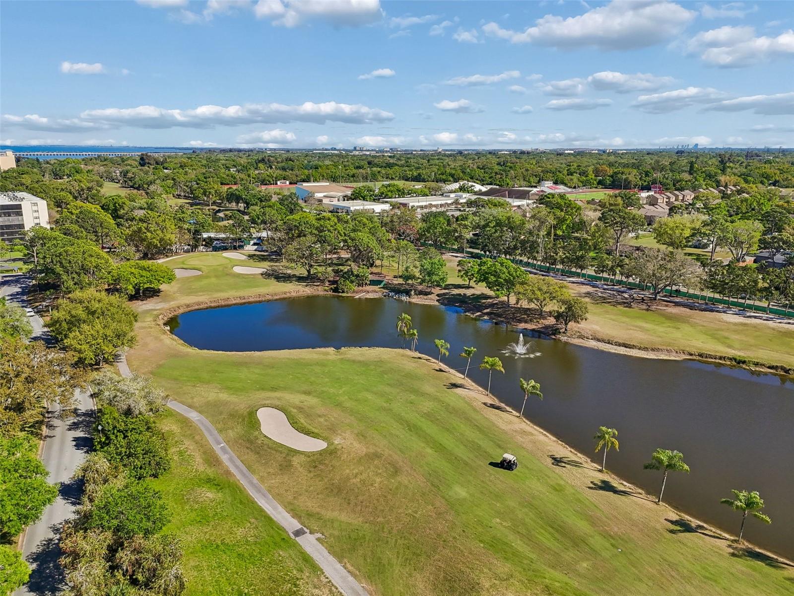 Image 63 of 99 For 900 Cove Cay Drive 5f