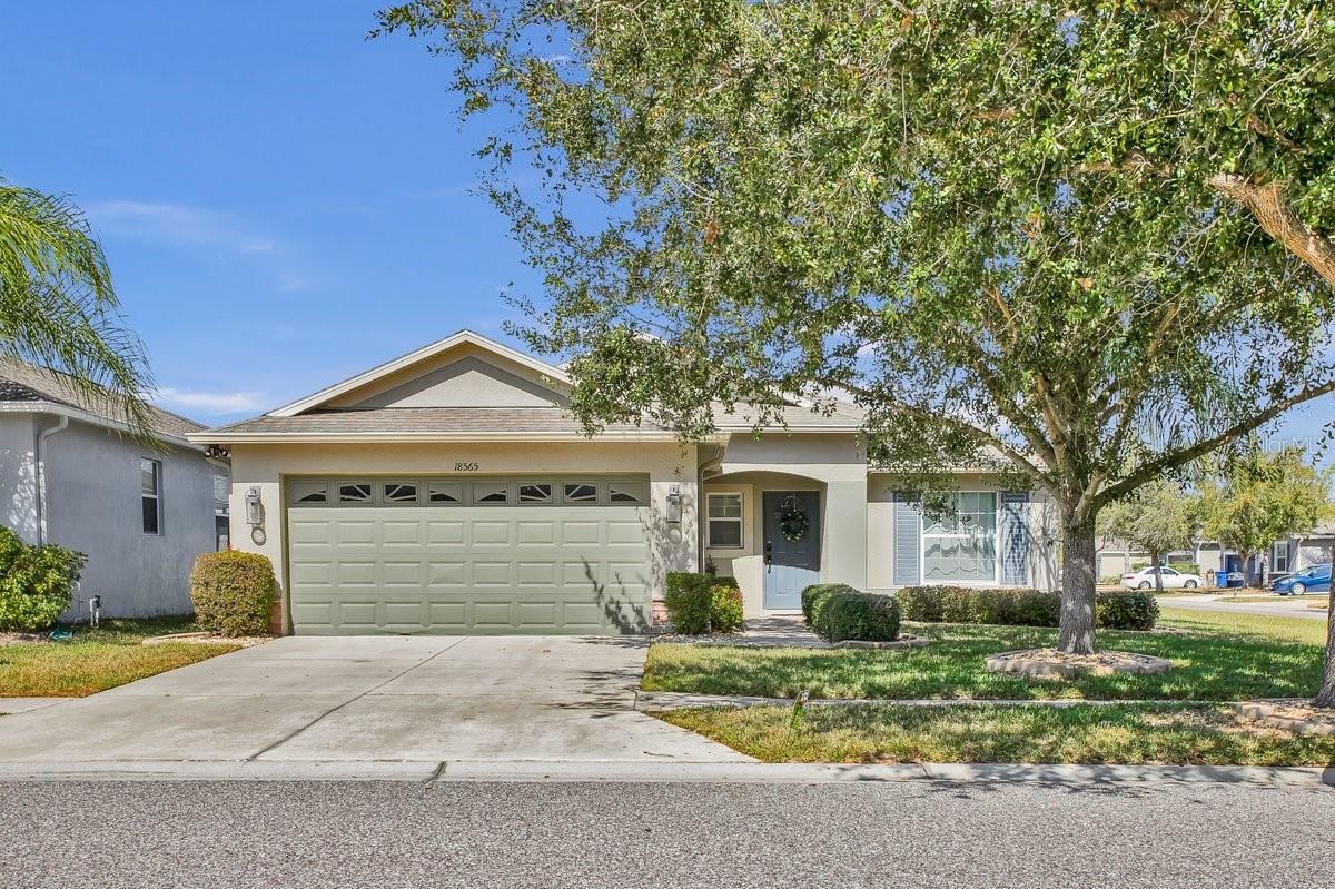 Details for 18565 Strombury Drive, LAND O LAKES, FL 34638