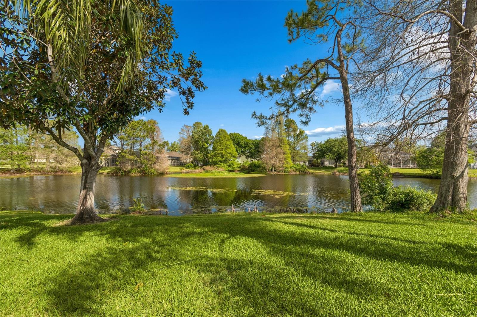 Image 35 of 42 For 10145 Kingsbridge Avenue