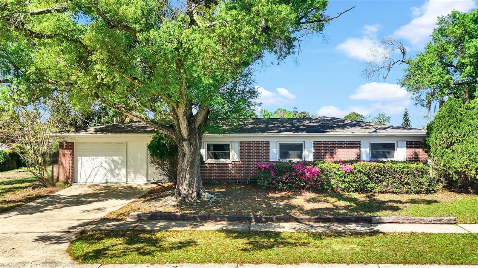 Image 4 of 63 For 1601 Lark Lane