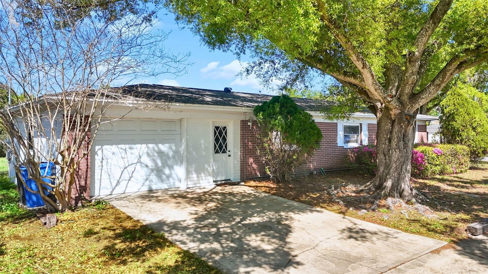 Image 5 of 63 For 1601 Lark Lane