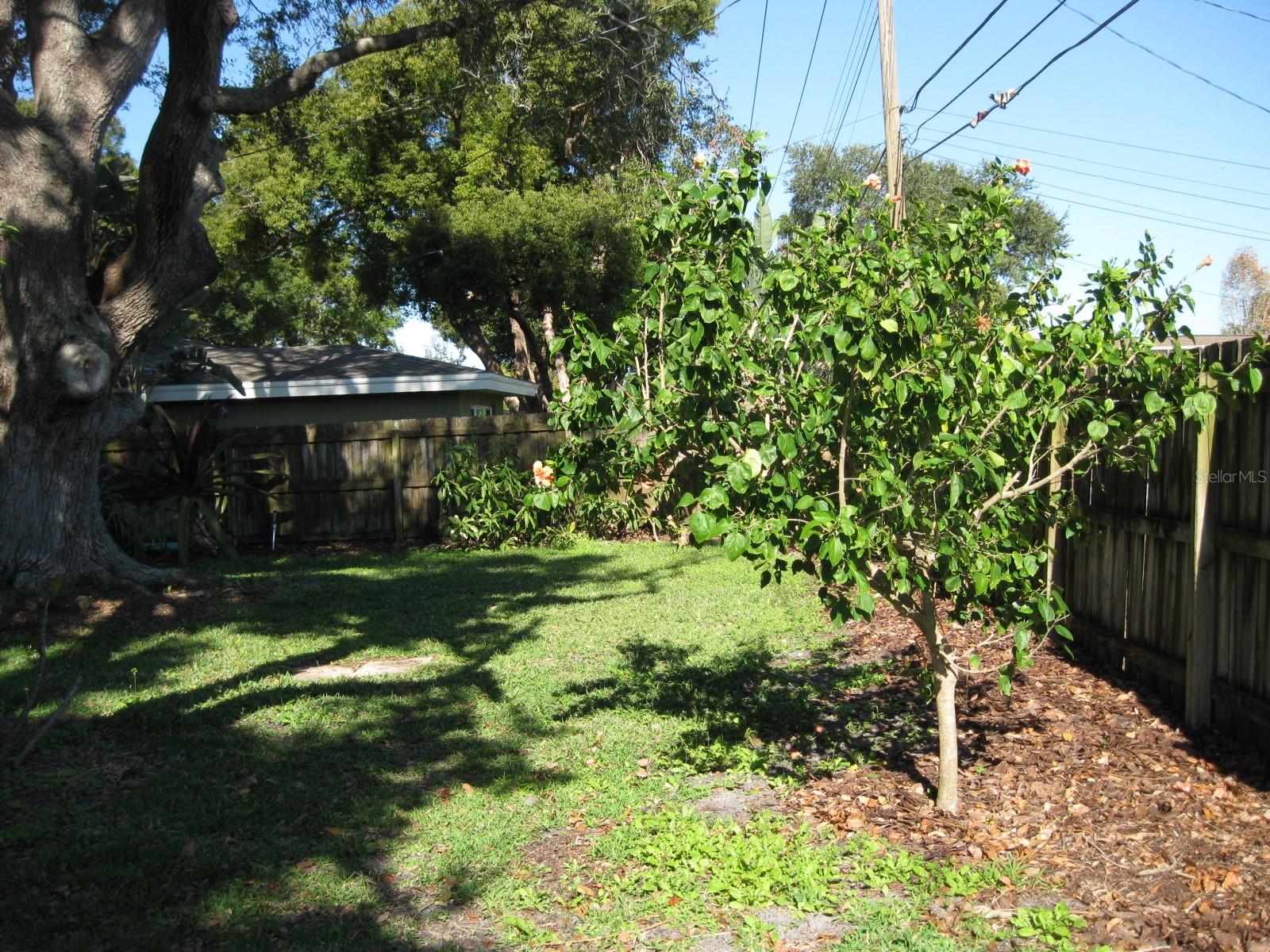 Image 44 of 48 For 1479 Ruth Road