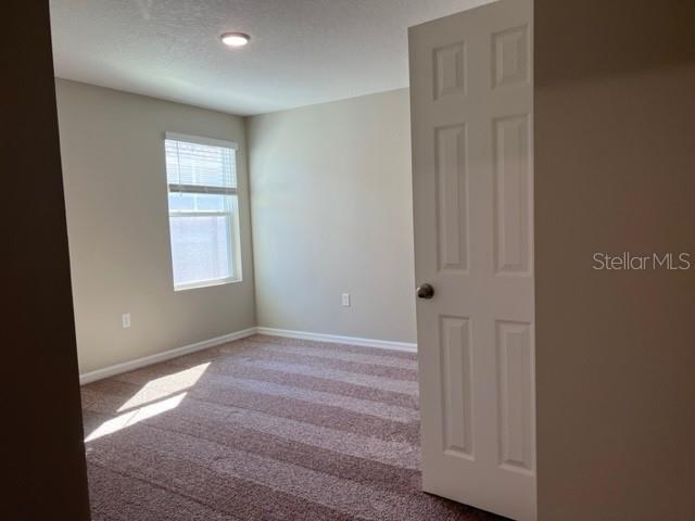 Image 14 of 38 For 34137 Scarlet Sage Court