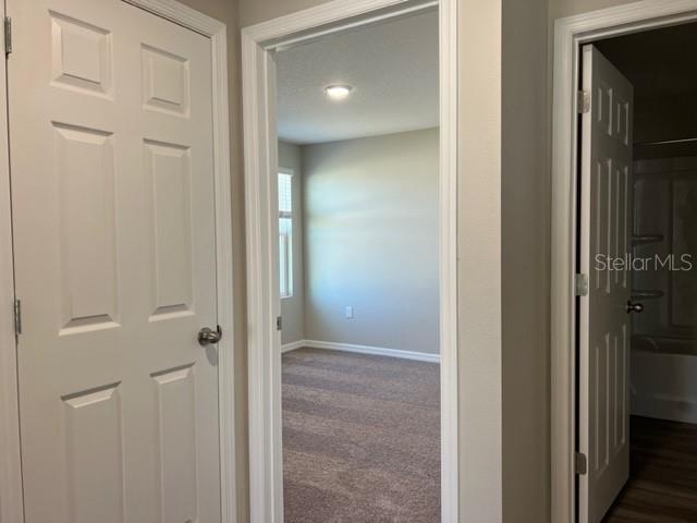 Image 15 of 38 For 34137 Scarlet Sage Court