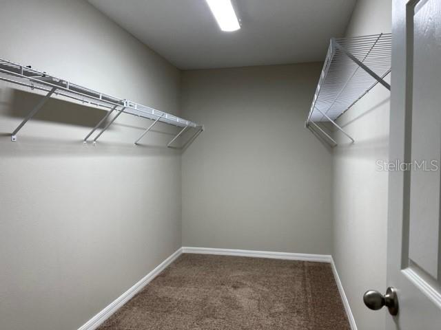 Image 17 of 38 For 34137 Scarlet Sage Court