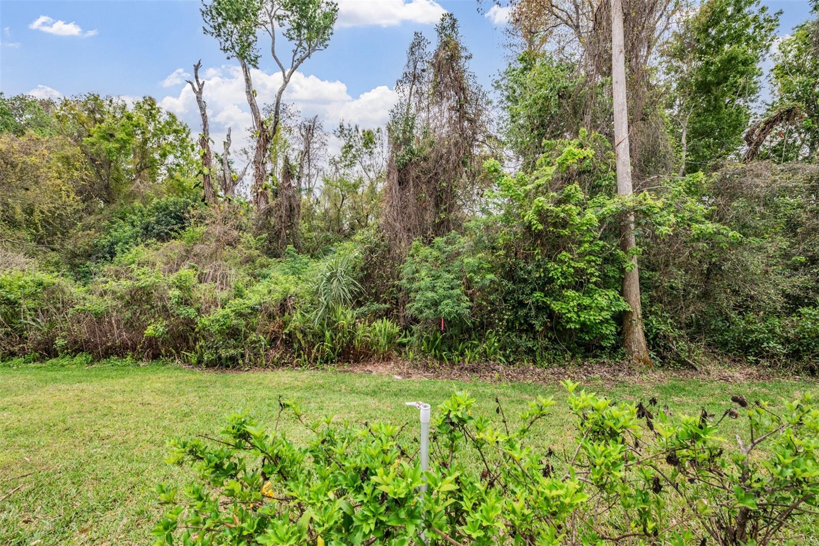 Image 29 of 44 For 5326 Ridgewell Court