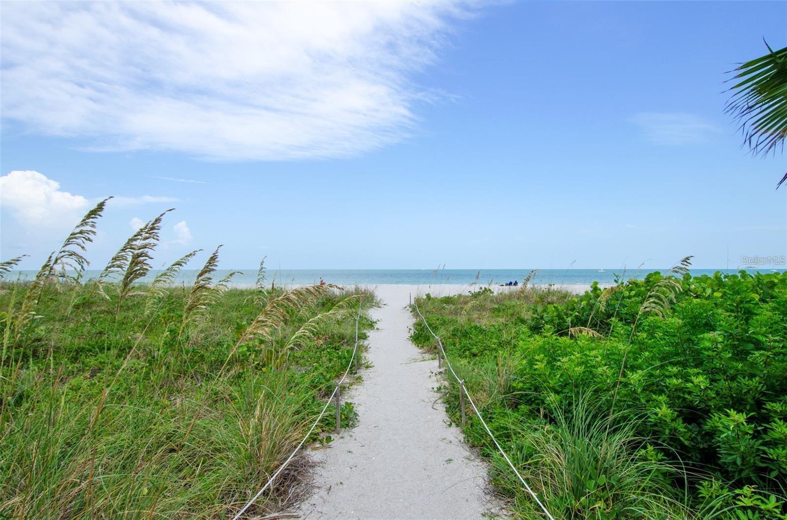 Listing photo id 1 for 1480 Gulf Boulevard 108