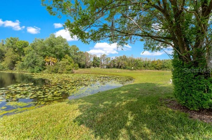 Image 37 of 42 For 16110 Rambling Vine Drive W