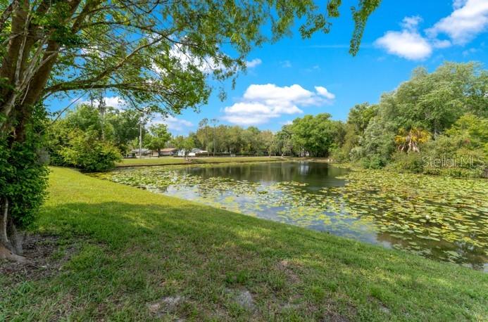 Image 38 of 42 For 16110 Rambling Vine Drive W