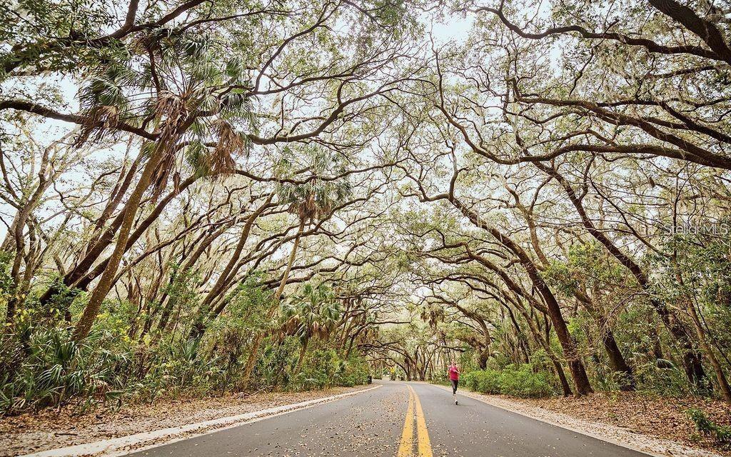 Image 25 of 26 For 330 5th Avenue N