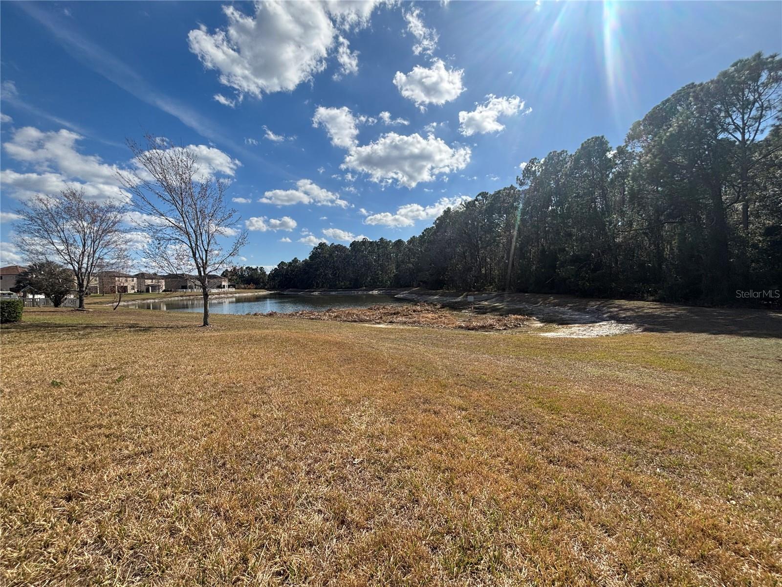 Image 2 of 30 For 20014 Date Palm Way