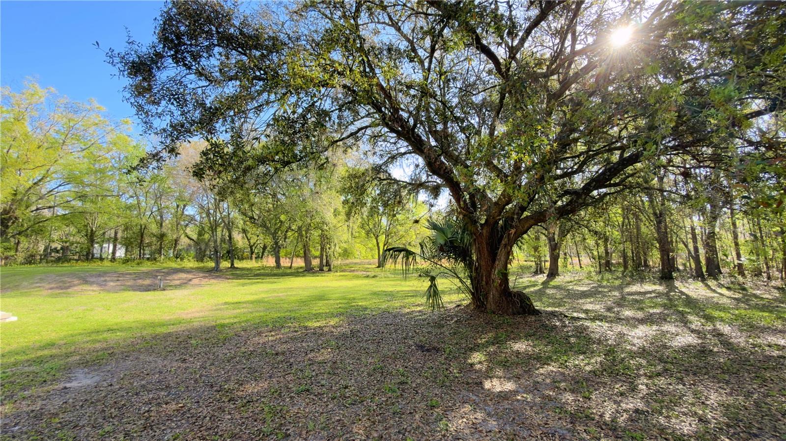 Image 15 of 15 For 26242 Dayflower Boulevard