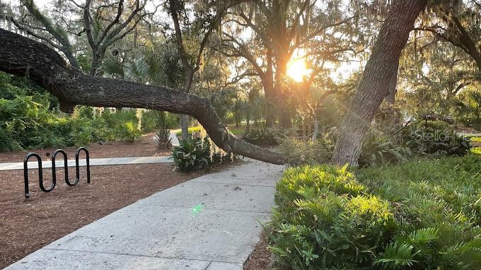 Image 42 of 42 For 14321 Azalea Pond Court