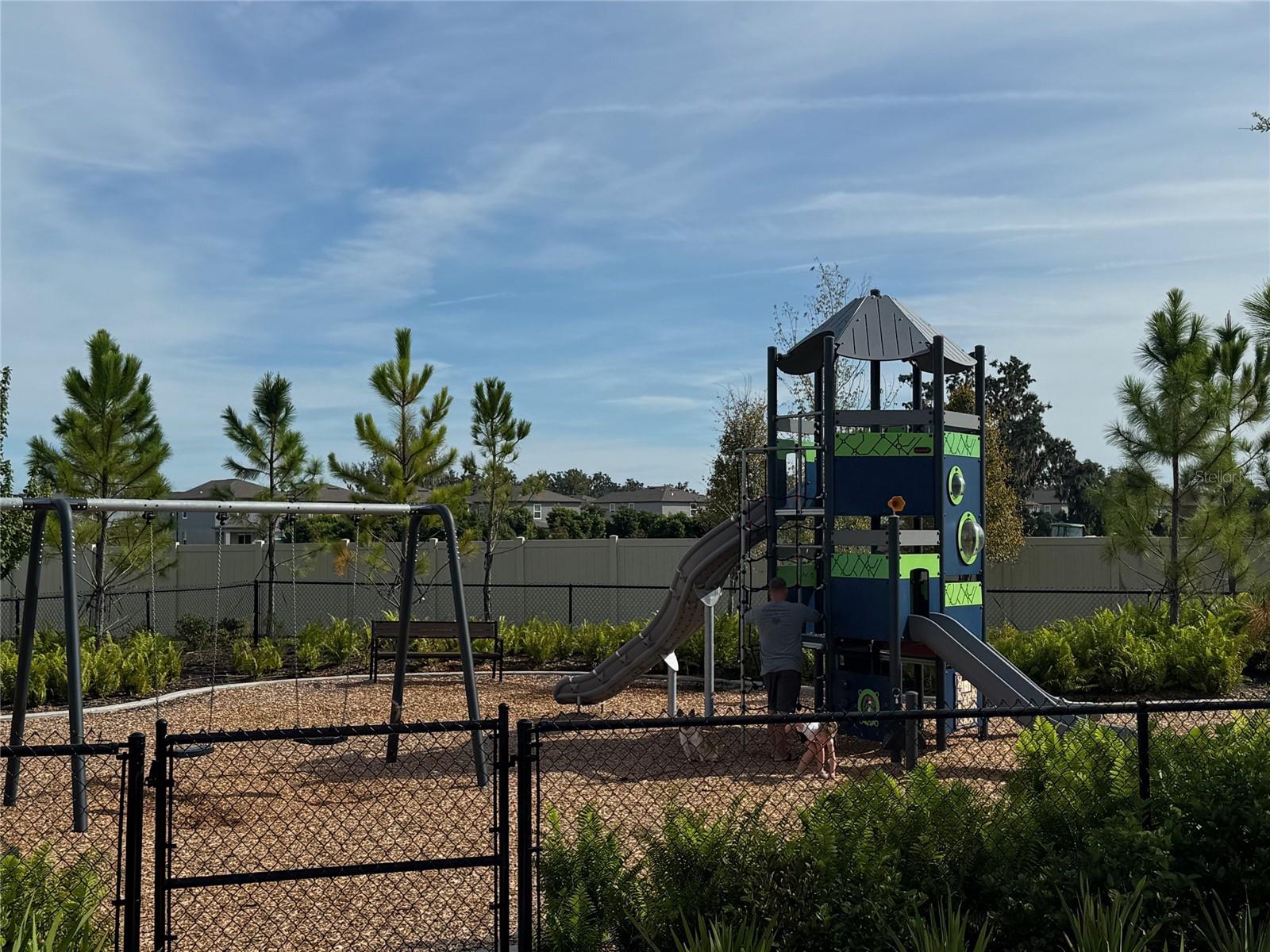 Image 24 of 25 For 2263 Blue Orchid Avenue