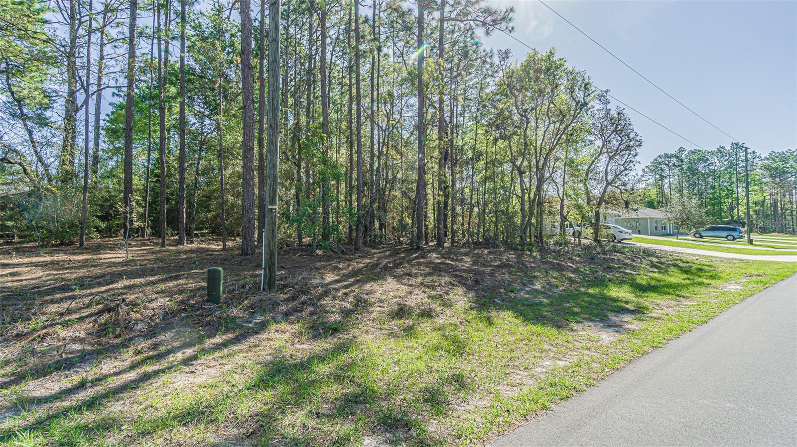 Image 13 of 13 For 9411 Mendoza Way