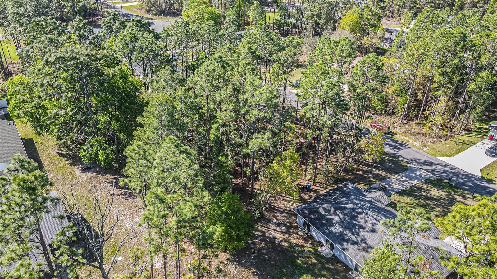 Image 3 of 13 For 9411 Mendoza Way