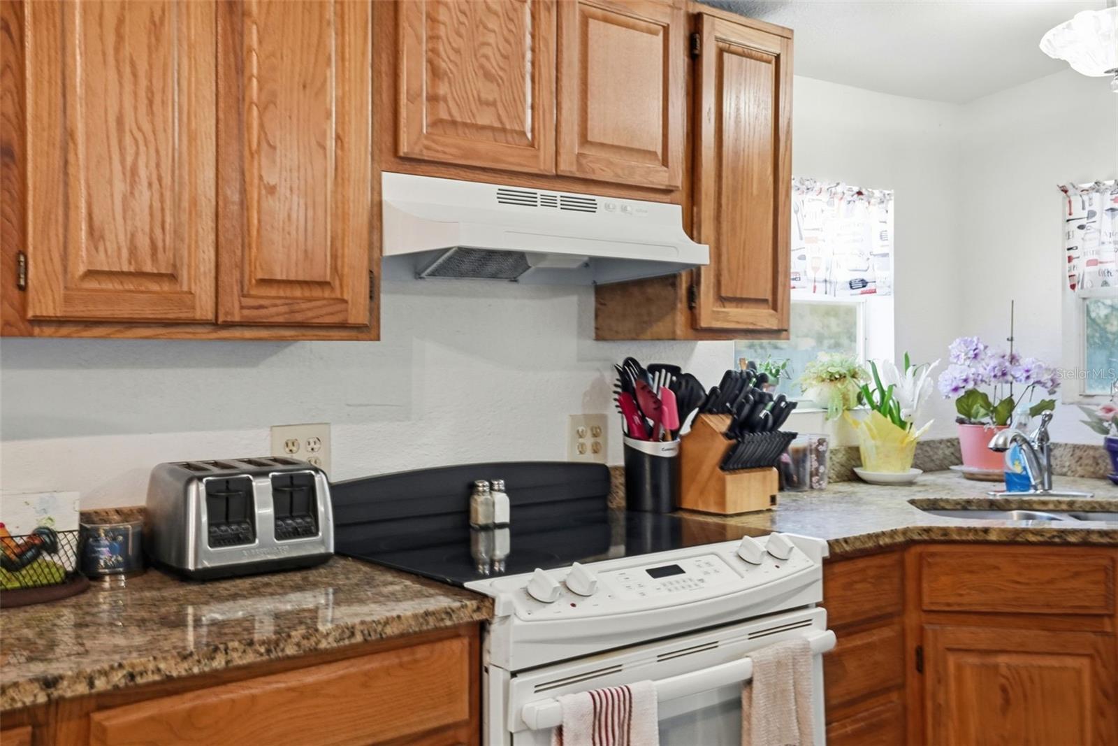 Image 41 of 58 For 16040 Platinum Drive