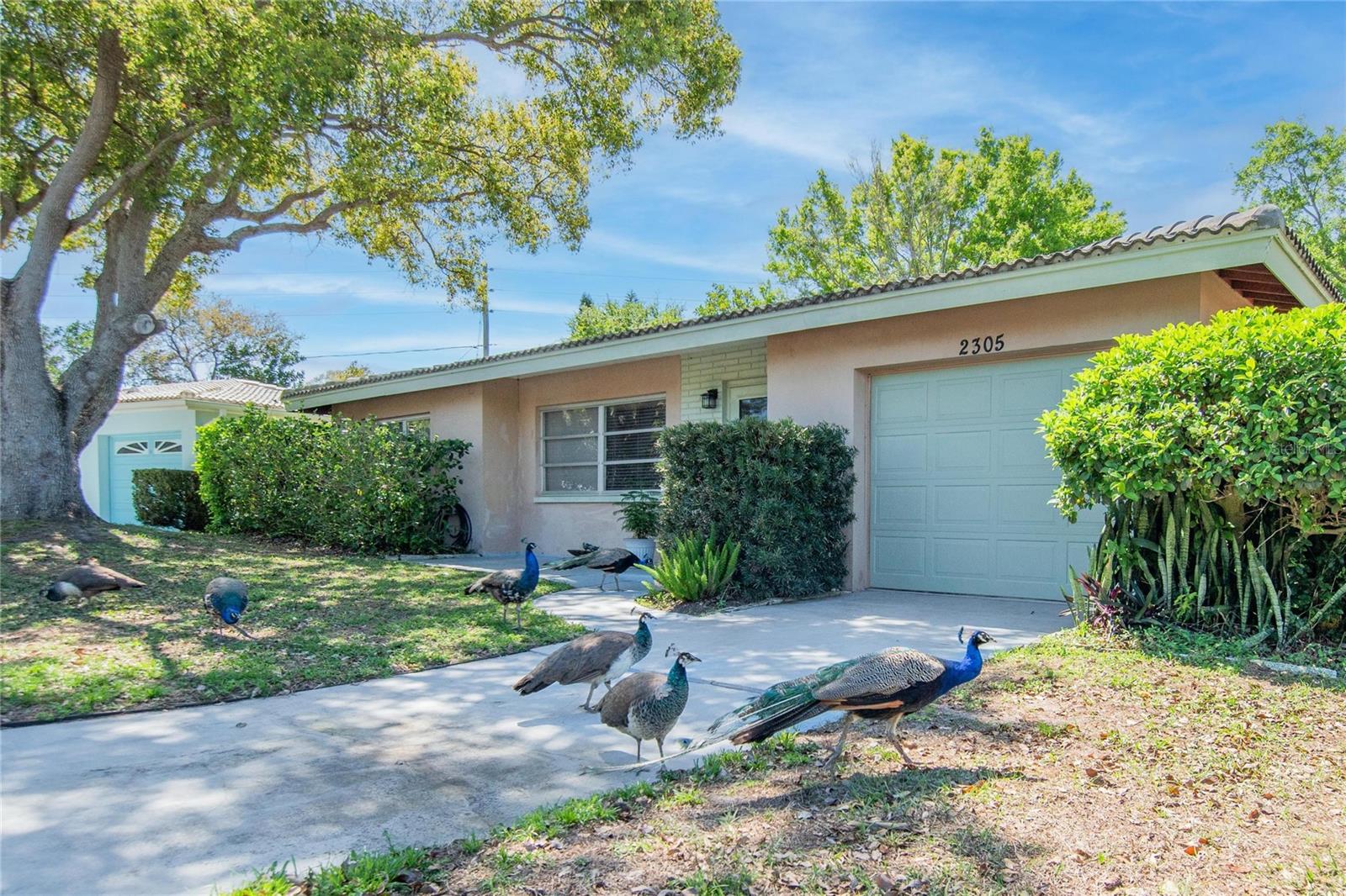 Image 21 of 43 For 2305 Indigo Drive