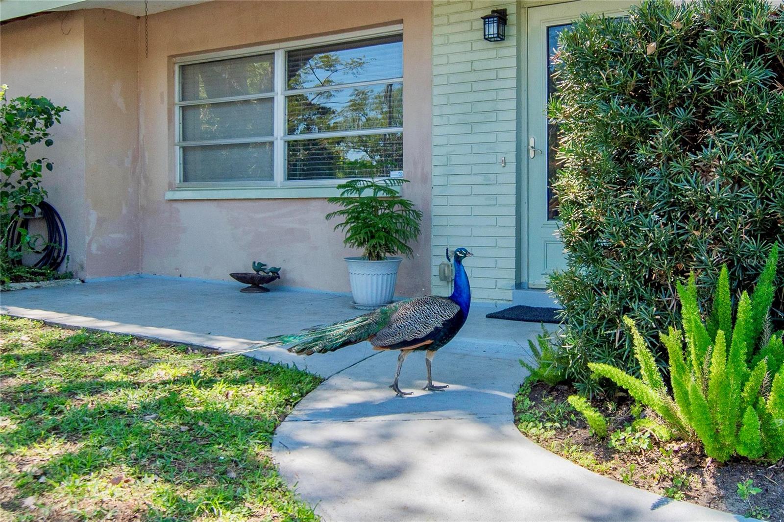 Image 23 of 43 For 2305 Indigo Drive