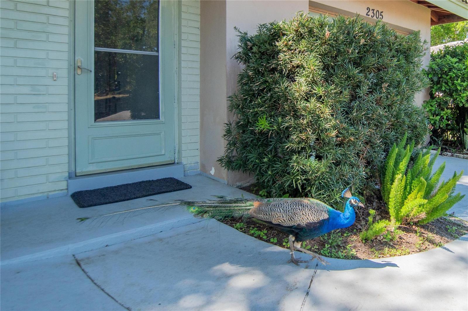 Image 24 of 43 For 2305 Indigo Drive