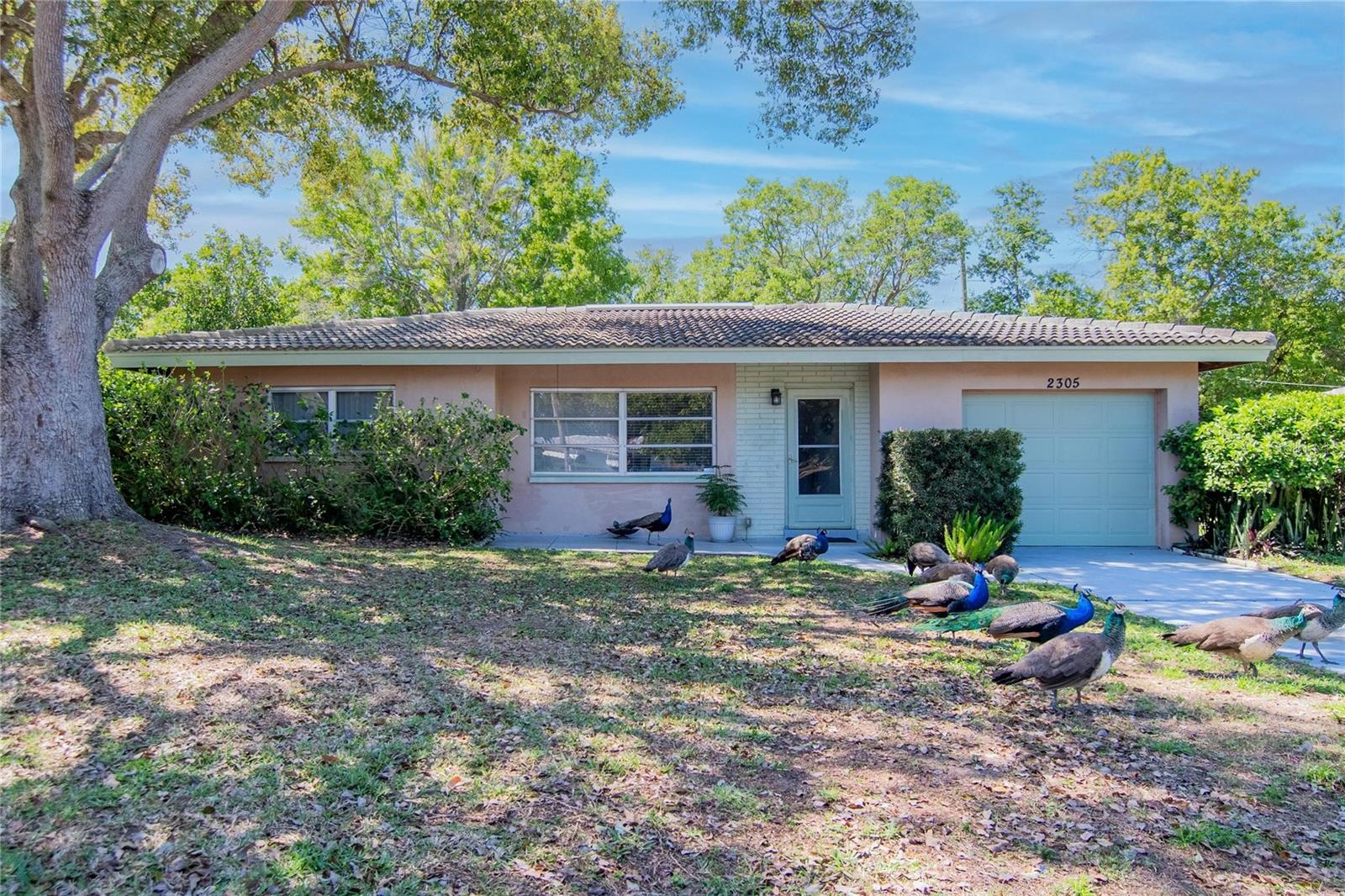 Image 25 of 43 For 2305 Indigo Drive