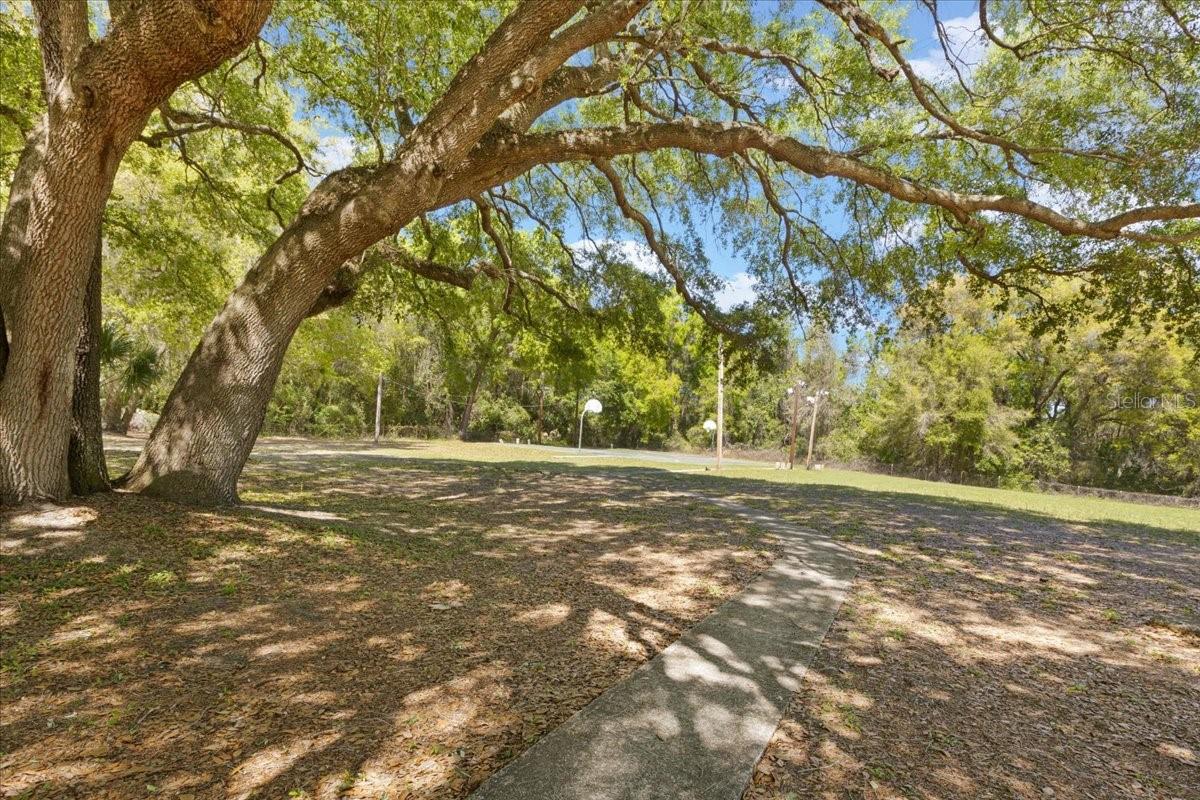 Image 48 of 49 For 606 Wilson Street