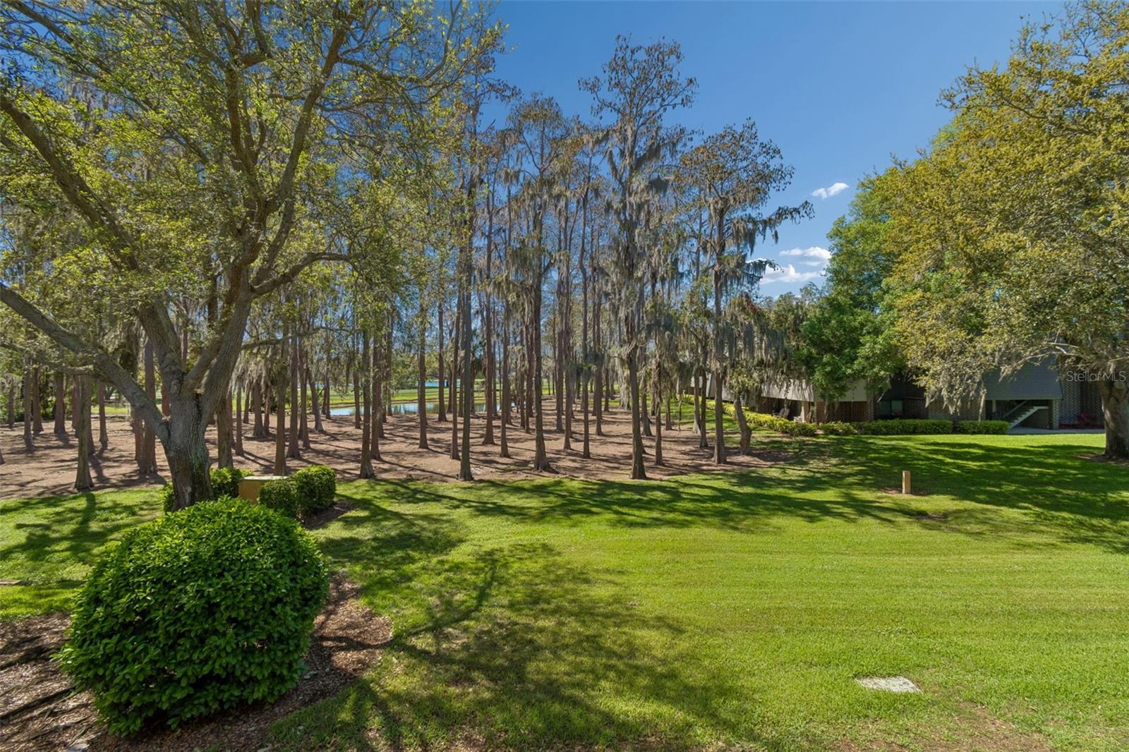 Image 30 of 60 For 36750 Us Highway 19 N 06207