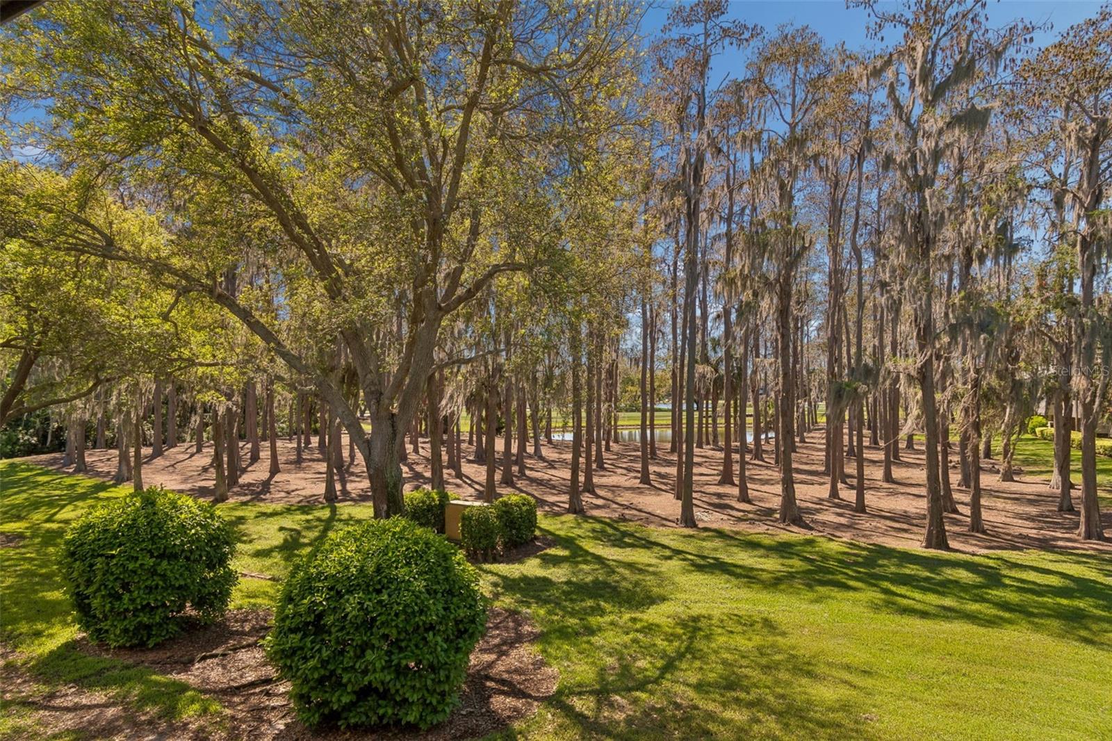 Image 31 of 60 For 36750 Us Highway 19 N 06207