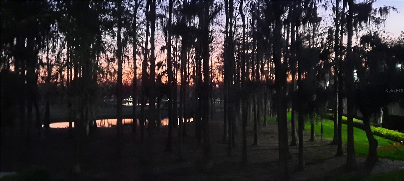 Image 33 of 60 For 36750 Us Highway 19 N 06207