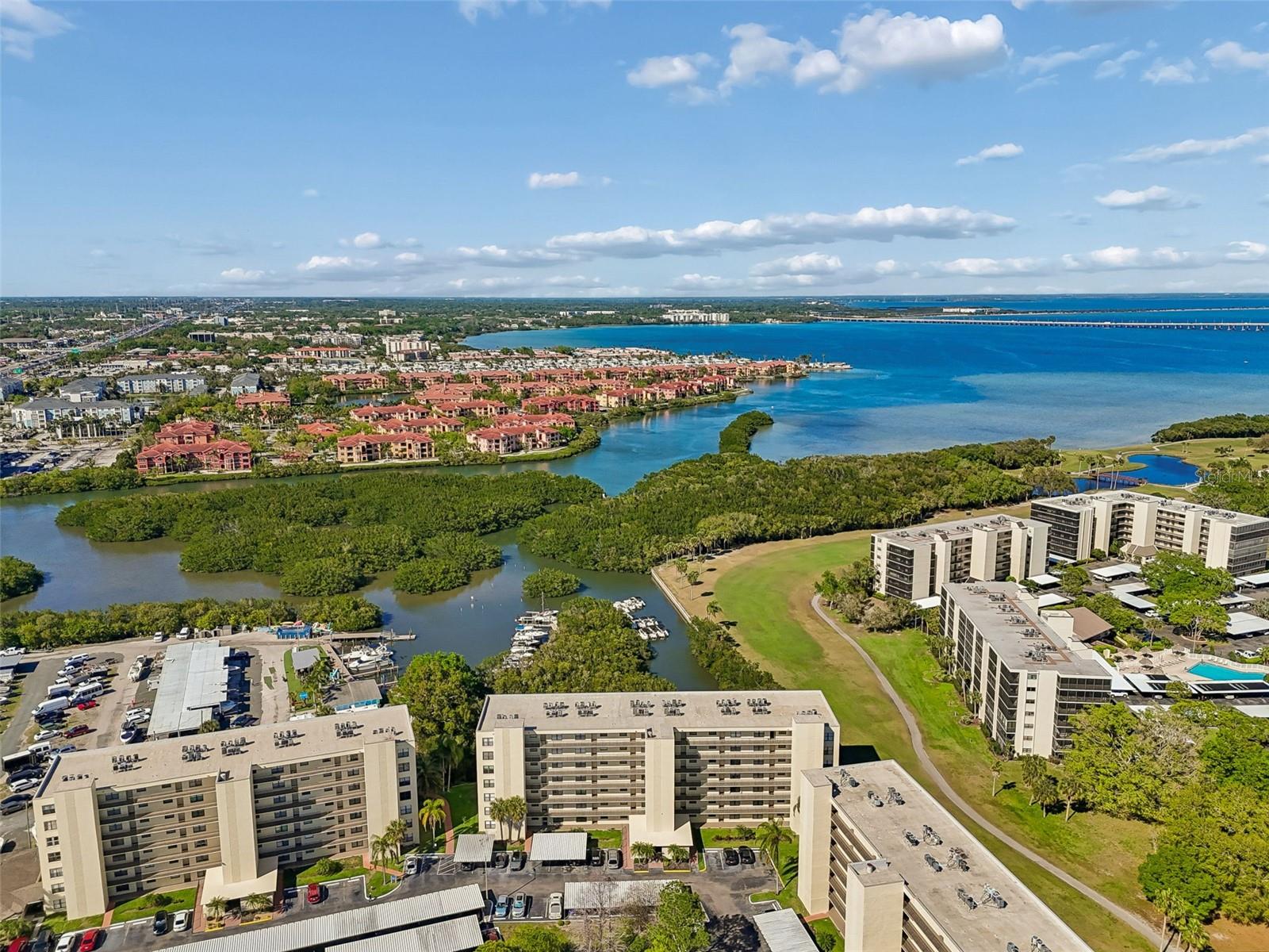 Image 56 of 99 For 900 Cove Cay Drive 5f