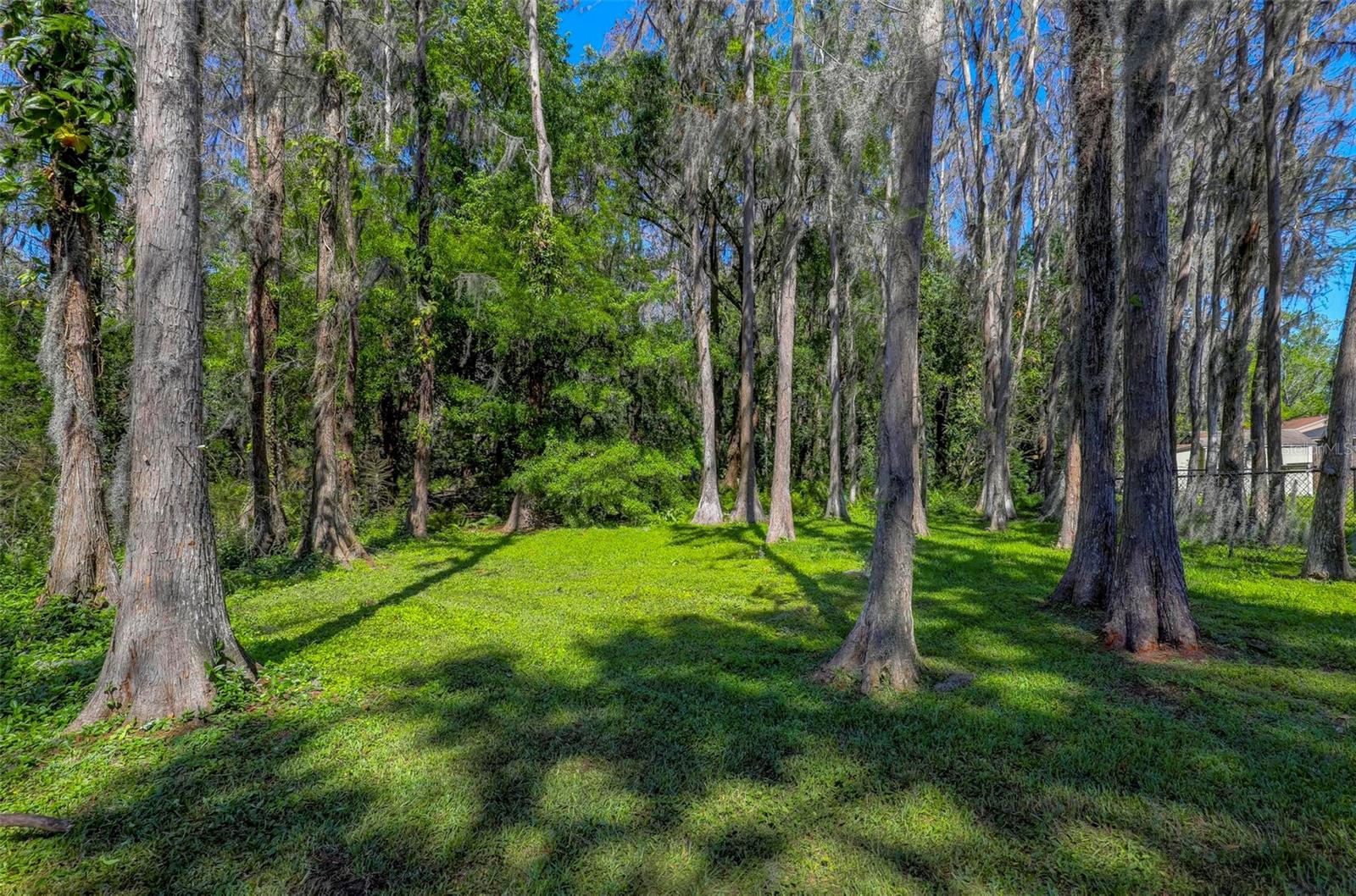 Image 28 of 32 For 16206 Sagebrush Road