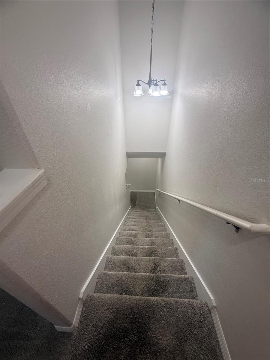 Image 14 of 24 For 9749 Trumpet Vine Loop