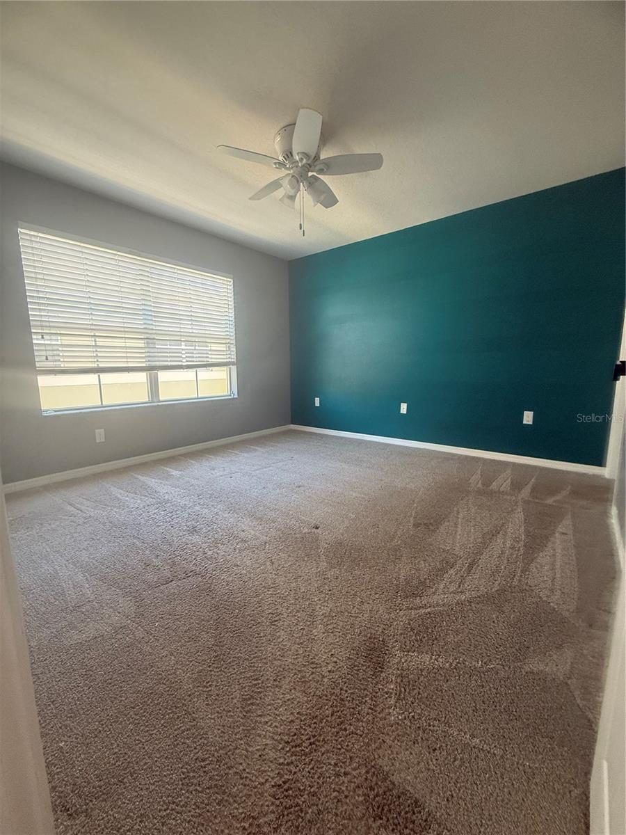 Image 15 of 24 For 9749 Trumpet Vine Loop