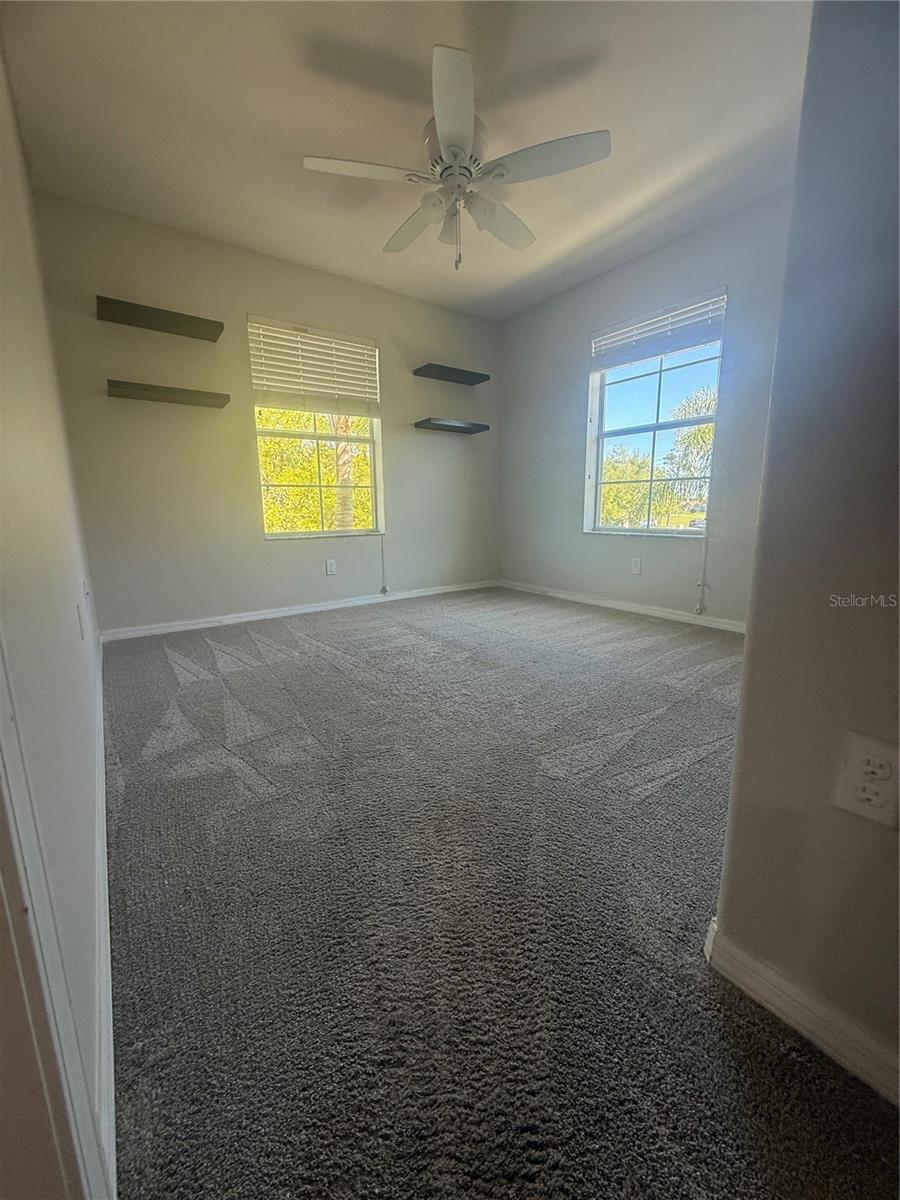 Image 18 of 24 For 9749 Trumpet Vine Loop