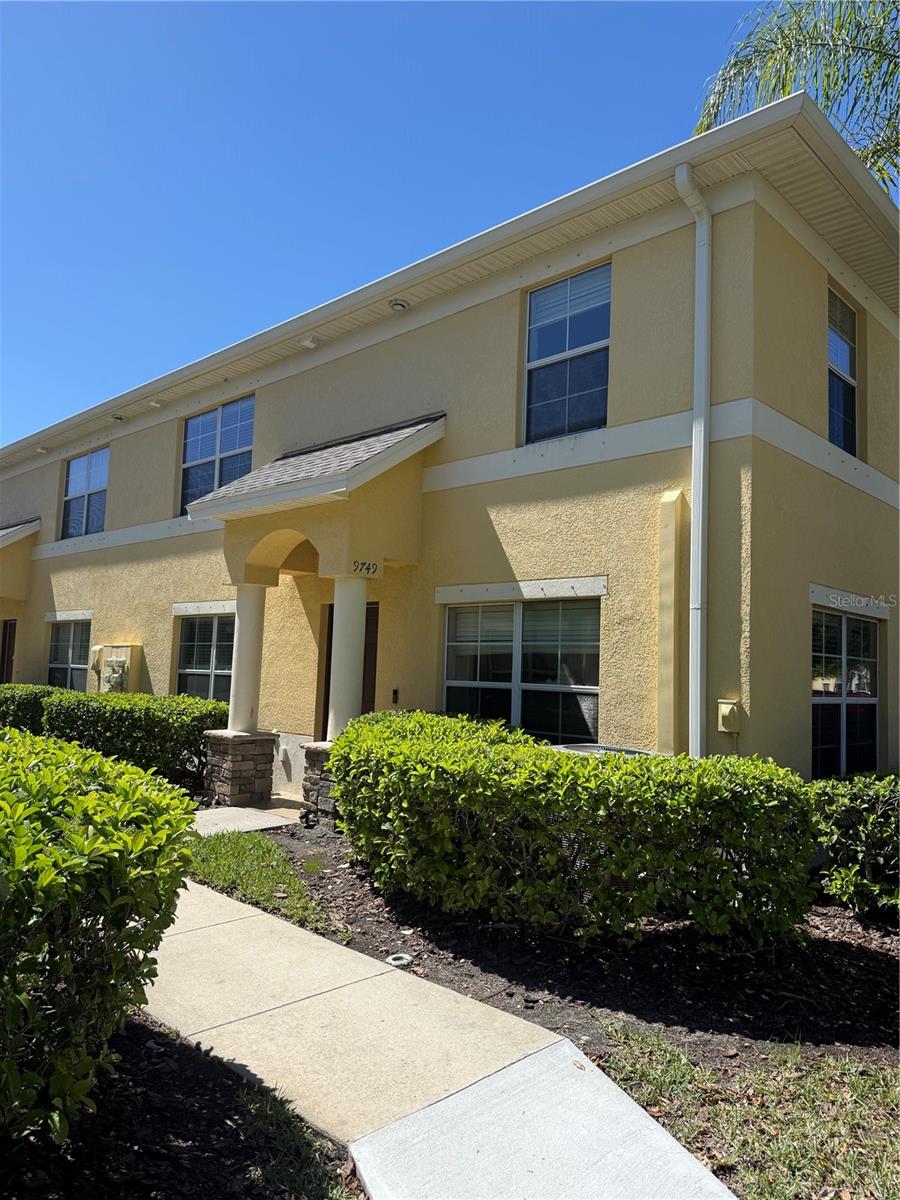 Image 2 of 24 For 9749 Trumpet Vine Loop