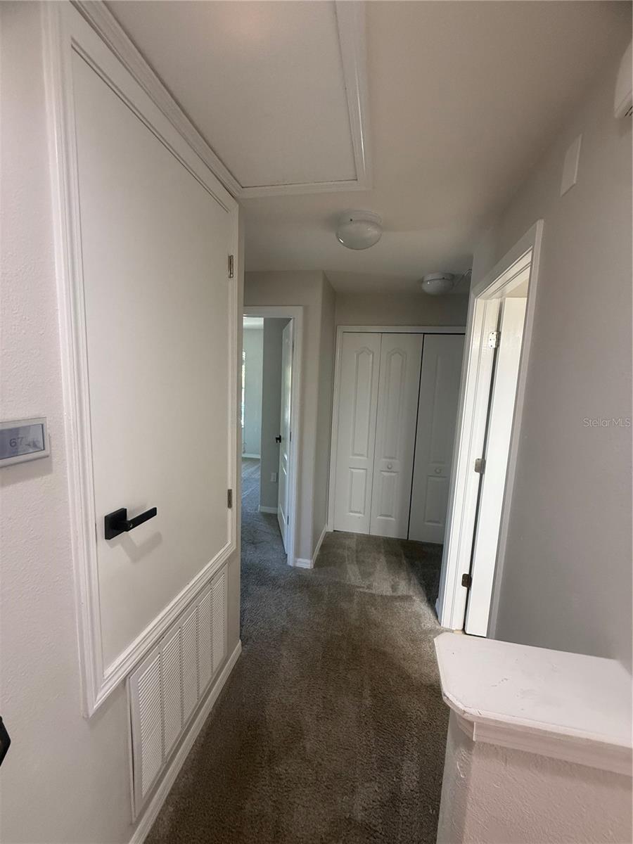 Image 23 of 24 For 9749 Trumpet Vine Loop