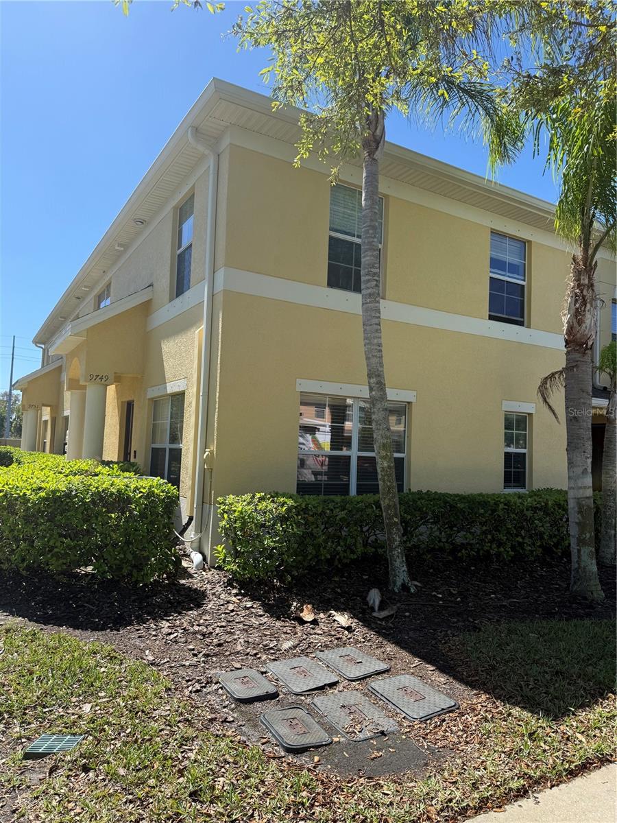 Image 3 of 24 For 9749 Trumpet Vine Loop