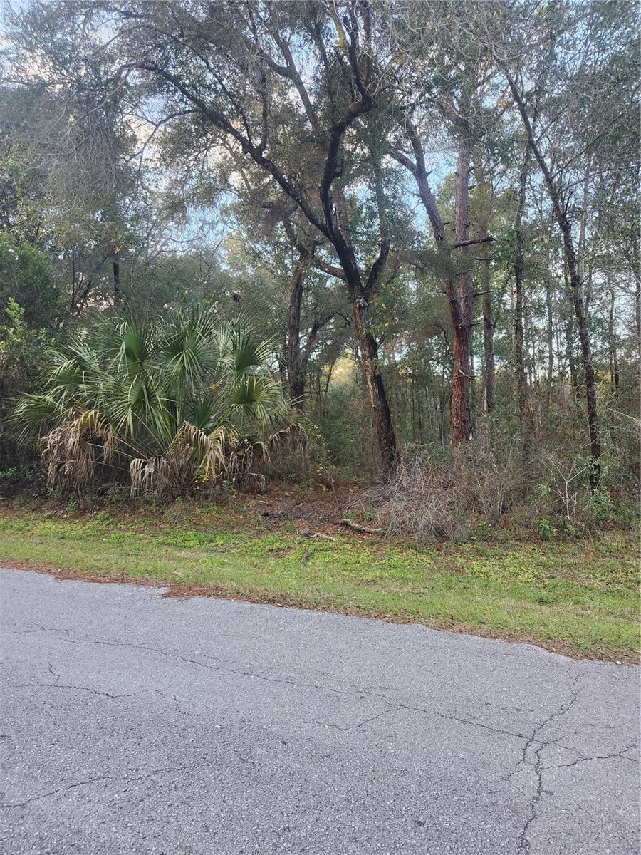 Image 8 of 35 For 4029 Walker Street