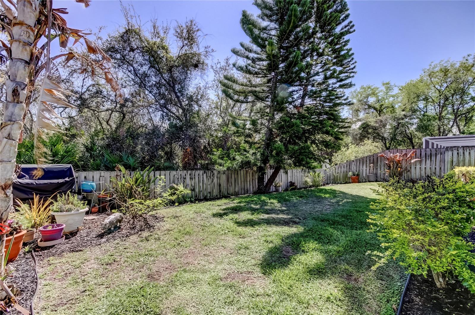 Image 60 of 65 For 10290 Oasis Palm Drive