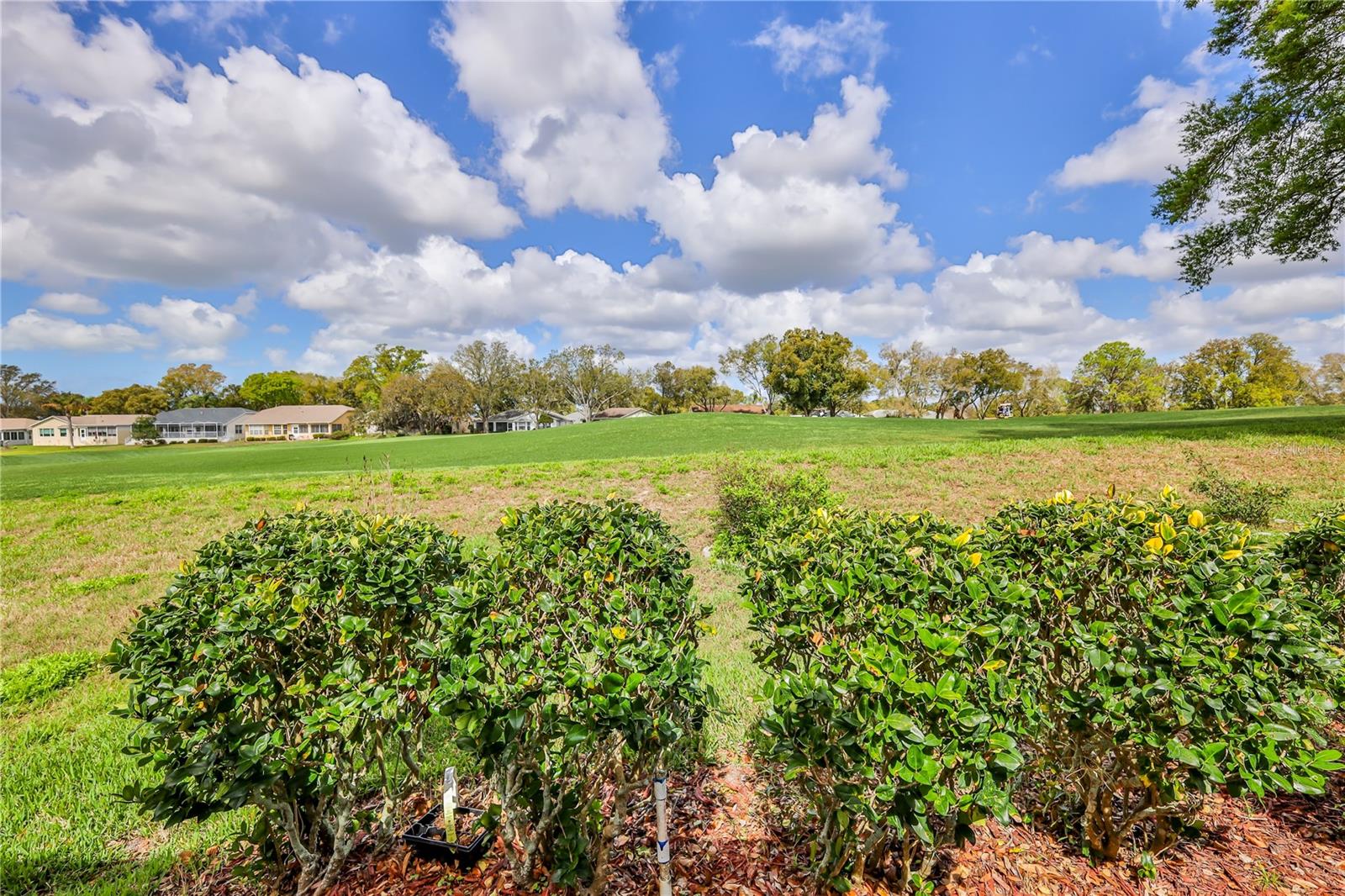 Image 29 of 62 For 2420 Rolling View Drive