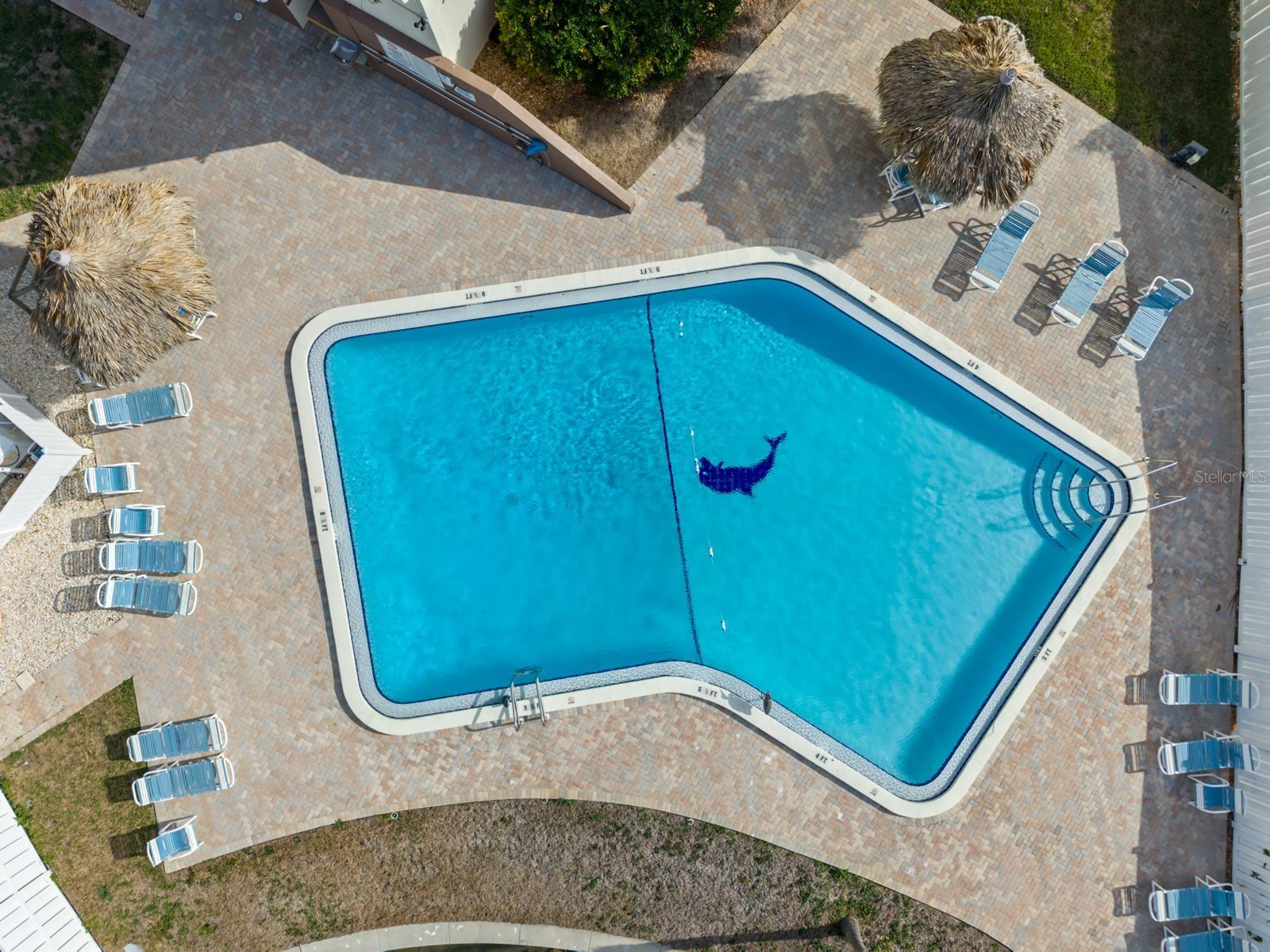 Image 4 of 18 For 255 Dolphin Point 513